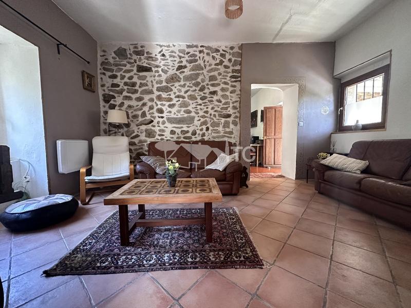 Maison en pierre - 279 m² - 10 pièces