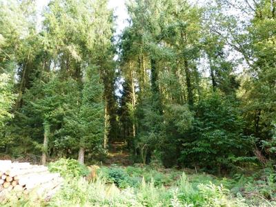 Terrain agricole - 13 280 m²