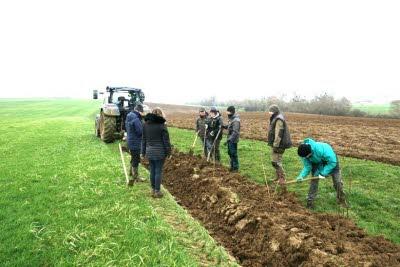 Plantation de haie
