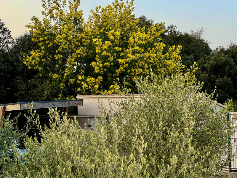 Maison - 155 m² - 7 pièces