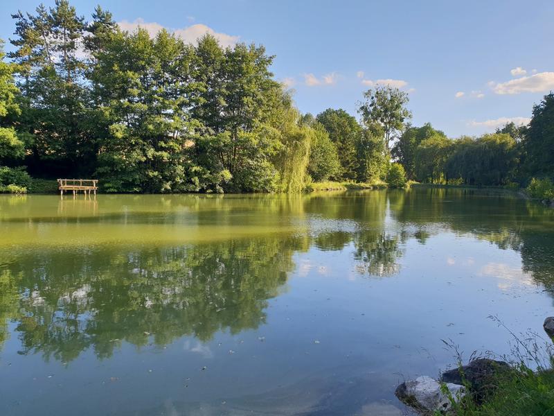 Villa - 275 m² - 9 pièces