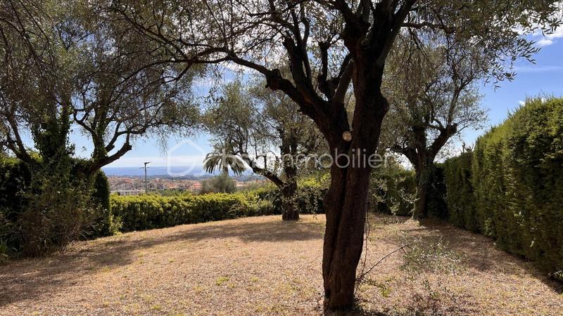 Maison d'architecte - 230 m² - 7 pièces