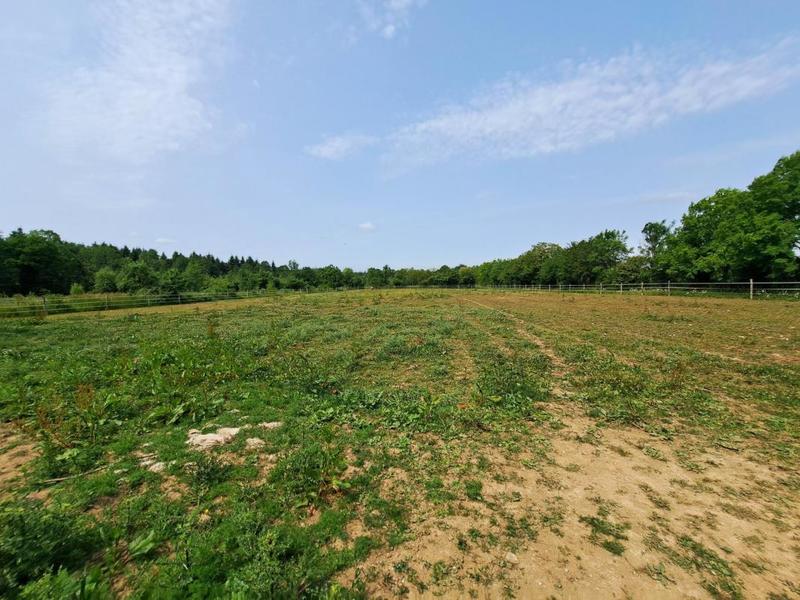 Maison - 165 m² - 7 pièces