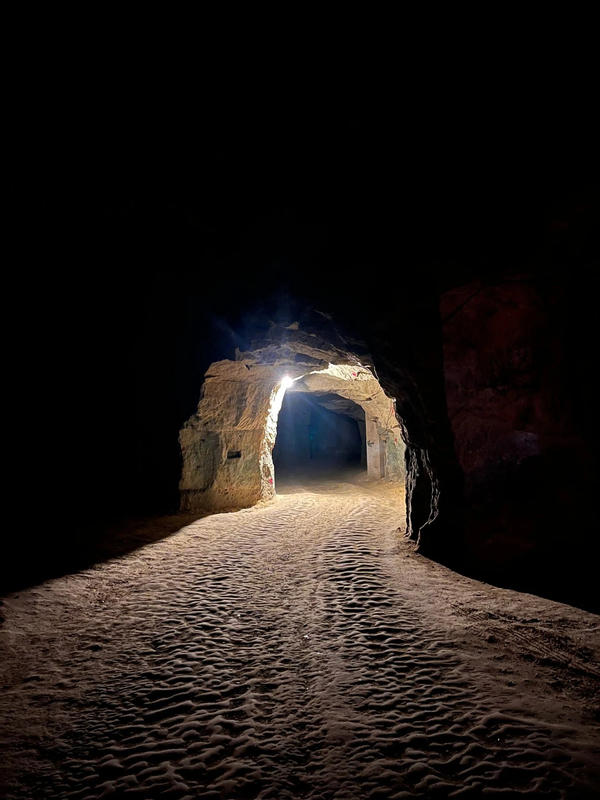 Visite-dégustation : Visite de cave troglodyte et vieux millésimes