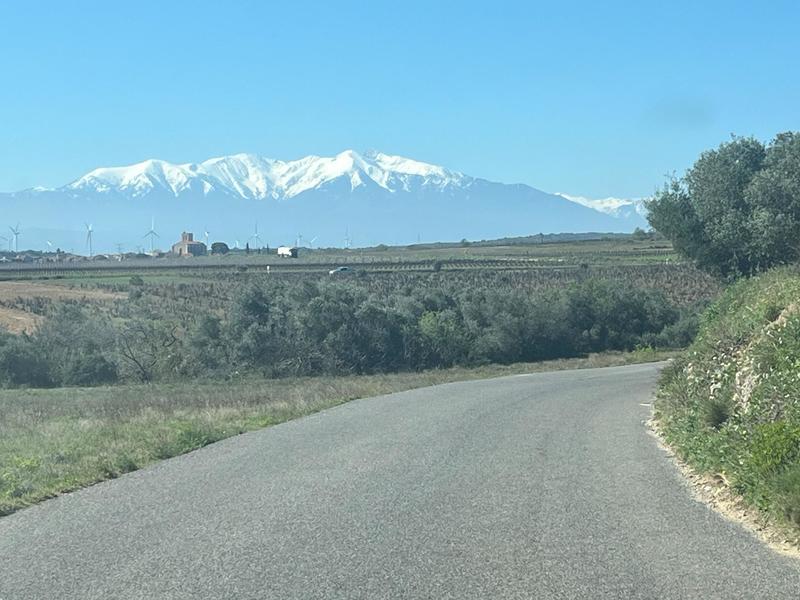 Terrain agricole - 9 900 m²