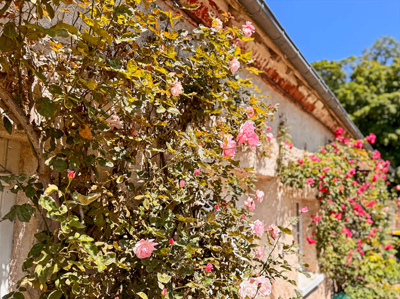 Maison - 220 m² - 8 pièces