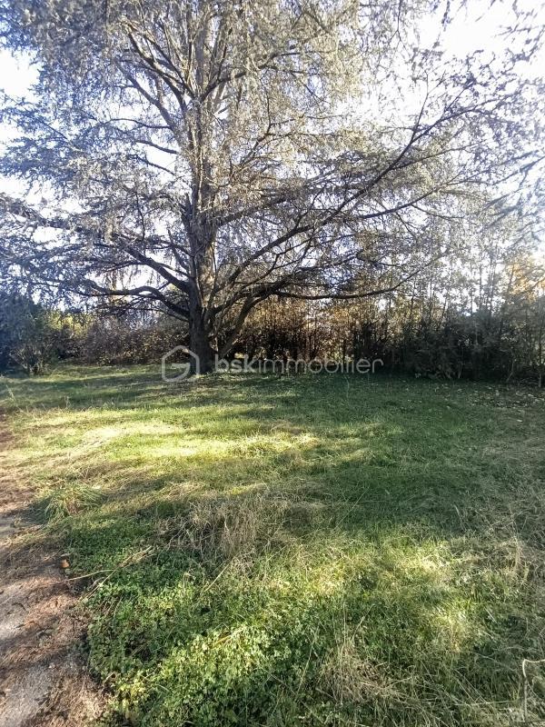 Maison - 123 m² - 5 pièces