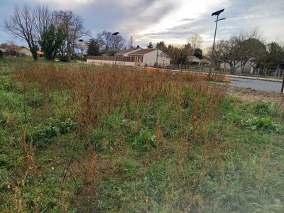 Terrain constructible - 846 m²