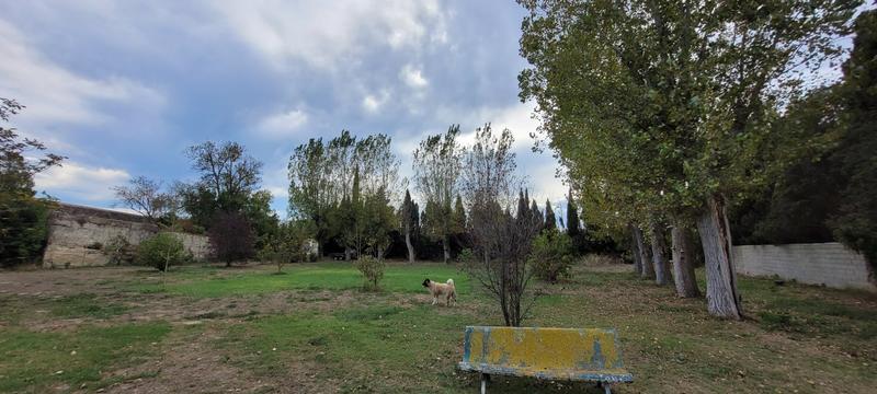 Maison de domaine - 363 m² - 12 pièces