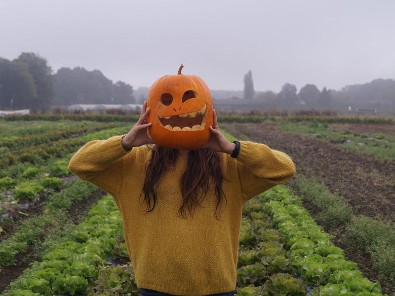 Fête de la citrouille et Halloween, à la Cueillette de l'Aragnon
