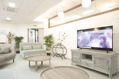 Loft - 36 m² - 1 pièce