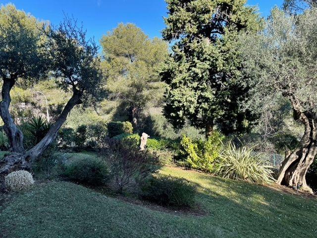 Studio - 35 m² - 1 pièce