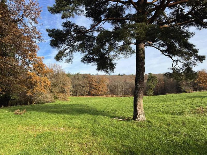 Maison - 85 m² - 3 pièces