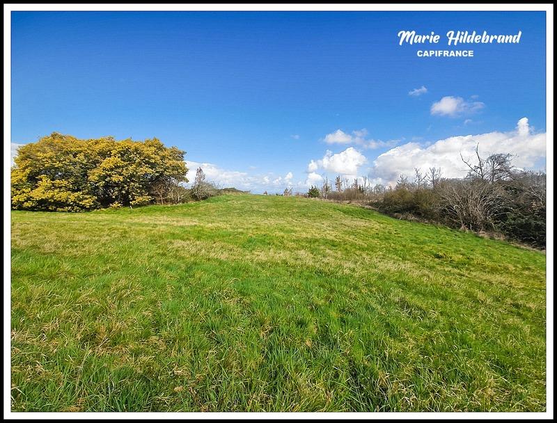 Terrain constructible - 2 396 m²