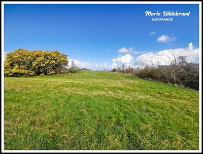 Terrain constructible - 2 396 m²