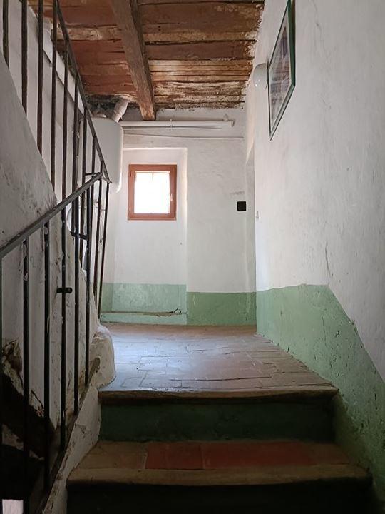 Appartement - 55 m² - 2 pièces