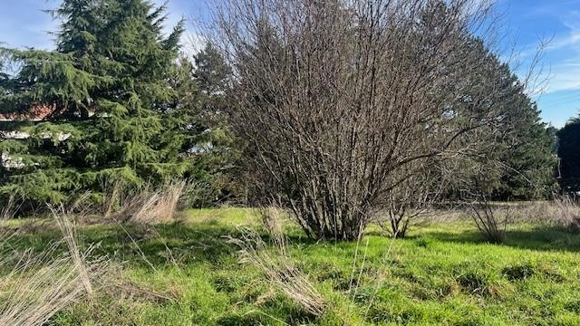 Terrain constructible - 1 378 m²