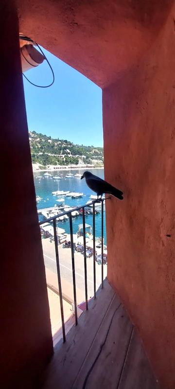 Appartement - 61 m² - 2 pièces