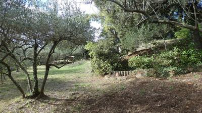 Terrain constructible - 1 225 m²