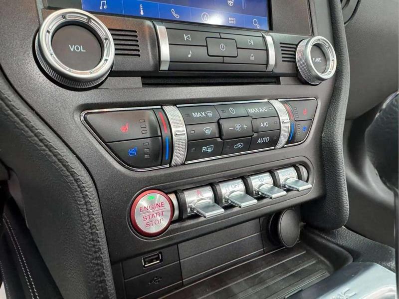 Ford Mustang Gt 5.0 V8 Premium Cabrio/Shelby Gt-