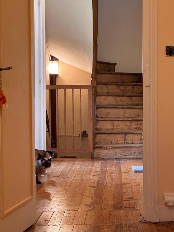 Maison - 330 m² - 10 pièces