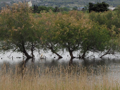 Visite flash "Entre terre et mares"