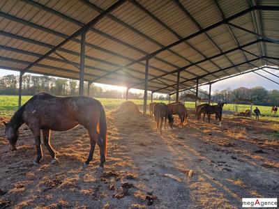 Maison - 168 m² - 5 pièces