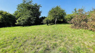 Terrain - 1 193 m²