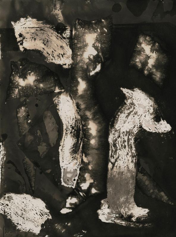 Regards croisés - Portugal / Provence