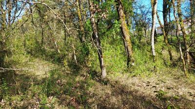 Terrain constructible - 1 255 m²