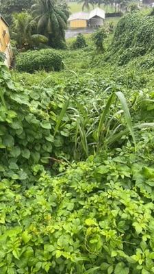 Terrain constructible - 688 m²