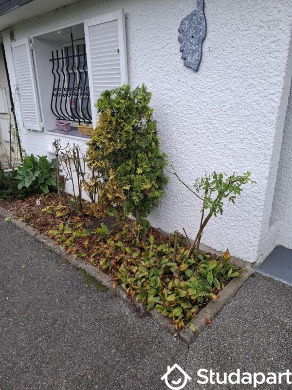 Chambre - 12 m² - 1 pièce