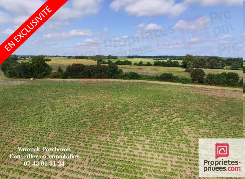 Terrain agricole - 50 000 m²