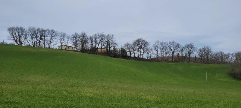 Ferme - 395 m² - 5 pièces