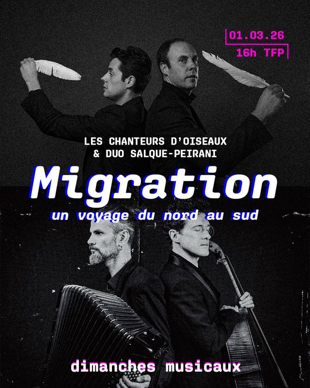 Migration, un voyage du nord au sud