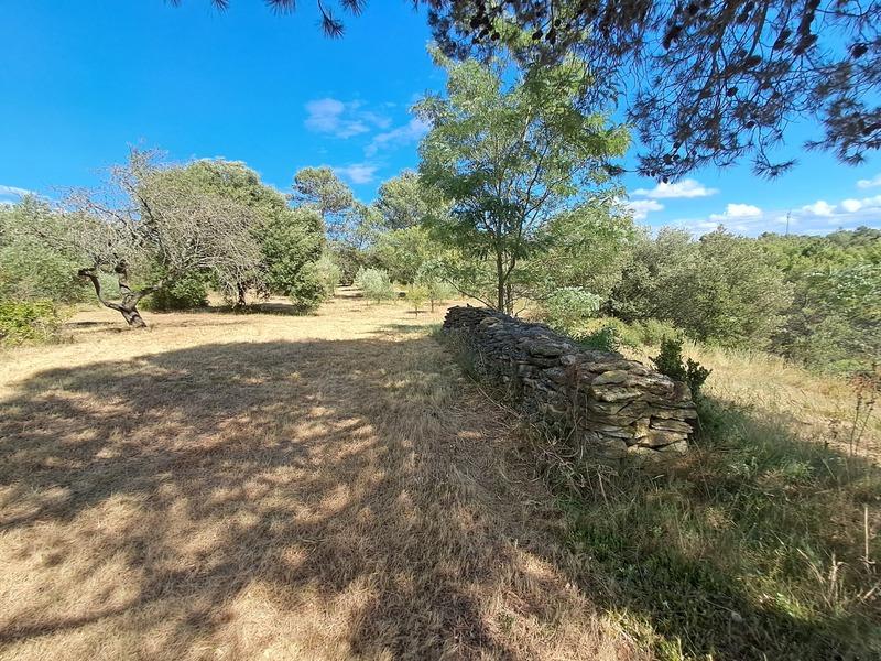 Maison - 191 m² - 7 pièces