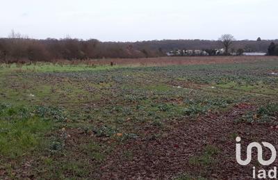 Terrain - 15 080 m²