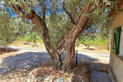 Appartement - 3 pièces