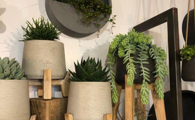 1 . Flore &amp; Sens