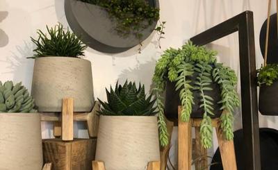 1 . Flore &amp; Sens