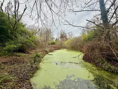 Maison - 49 m² - 2 pièces