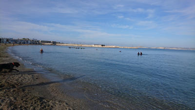 Appartement - 131 m² - 4 pièces