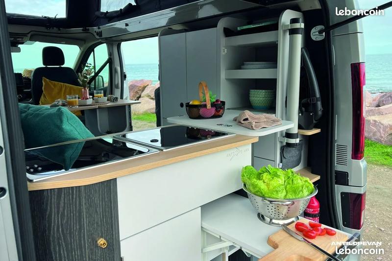 Renault Trafic Antilope Van Flex Confort Plus - Visible au Chambon-Feugerolles