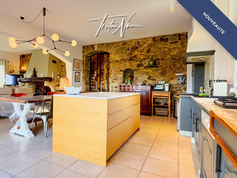 Mas - 260 m² - 7 pièces