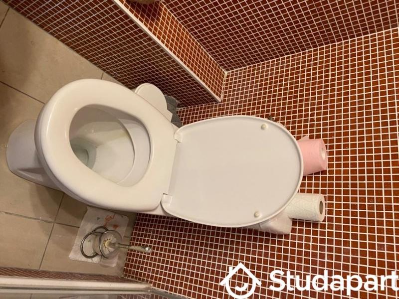 Chambre - 28 m² - 1 pièce