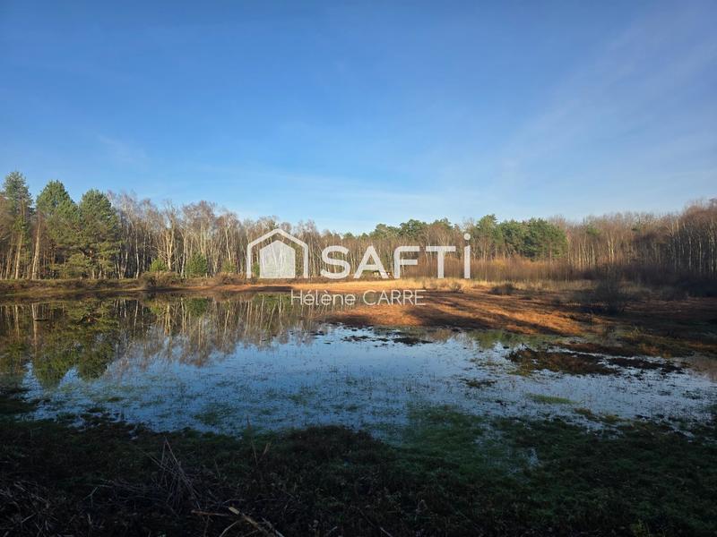 Maison - 237 m² - 11 pièces