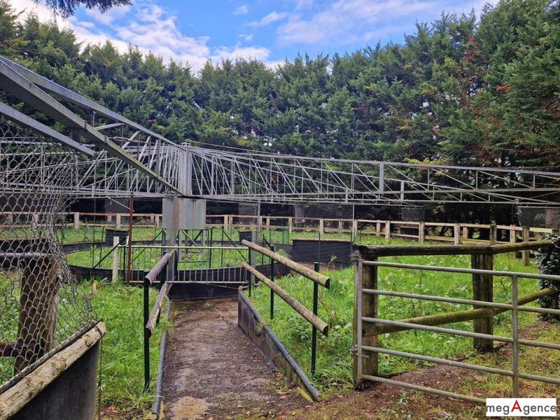 Maison - 168 m² - 5 pièces