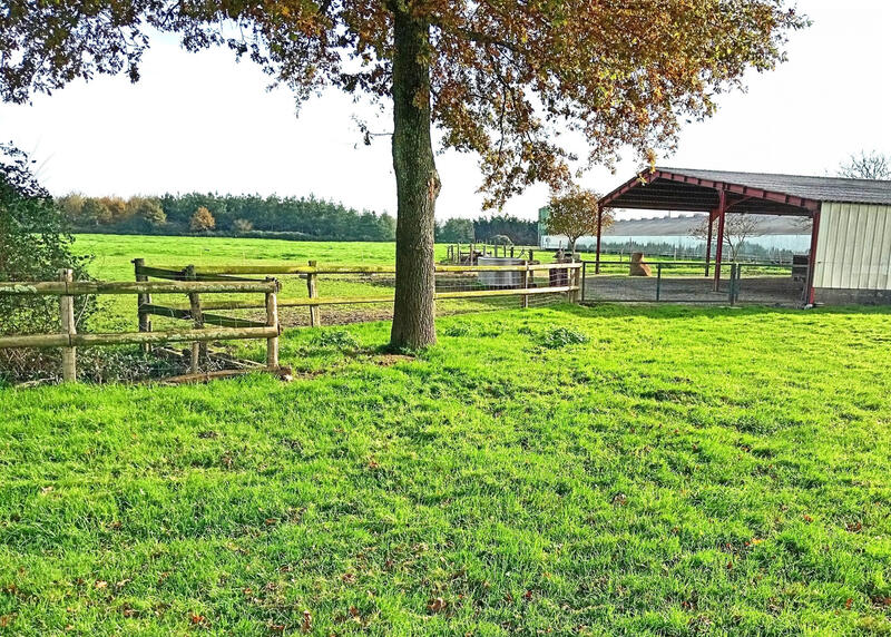 Terrain agricole - 170 000 m²