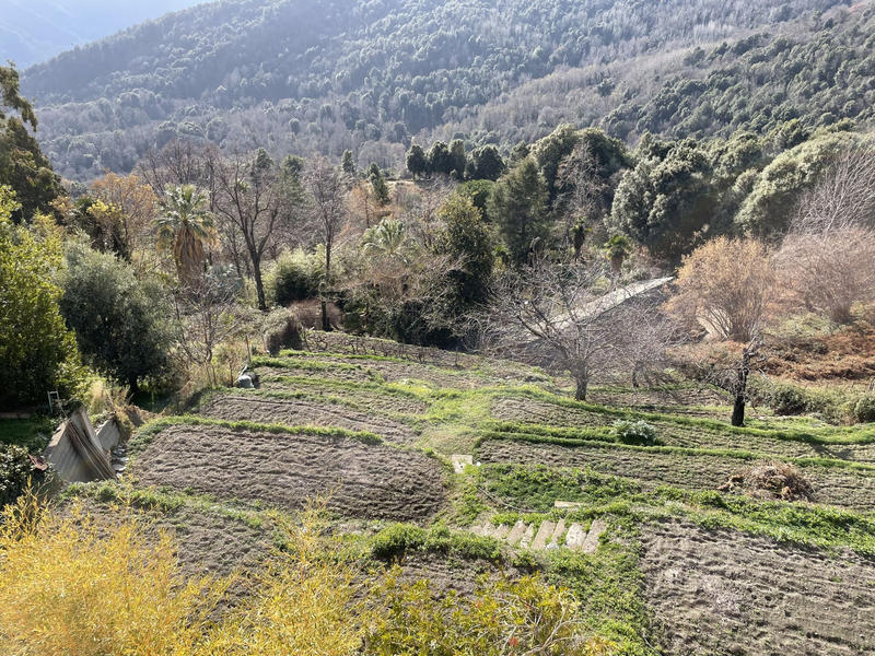 Appartement - 120 m² - 5 pièces