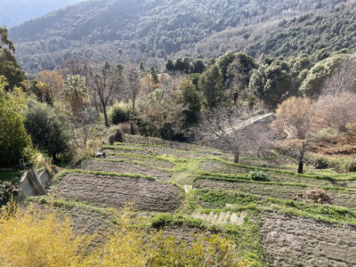 Appartement - 120 m² - 5 pièces